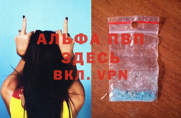 спиды Белая Холуница