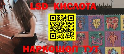 тгк Гай