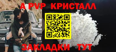 тгк Гай
