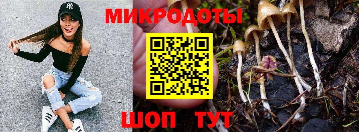 Псилоцибиновые грибы Magic Shrooms Асбест