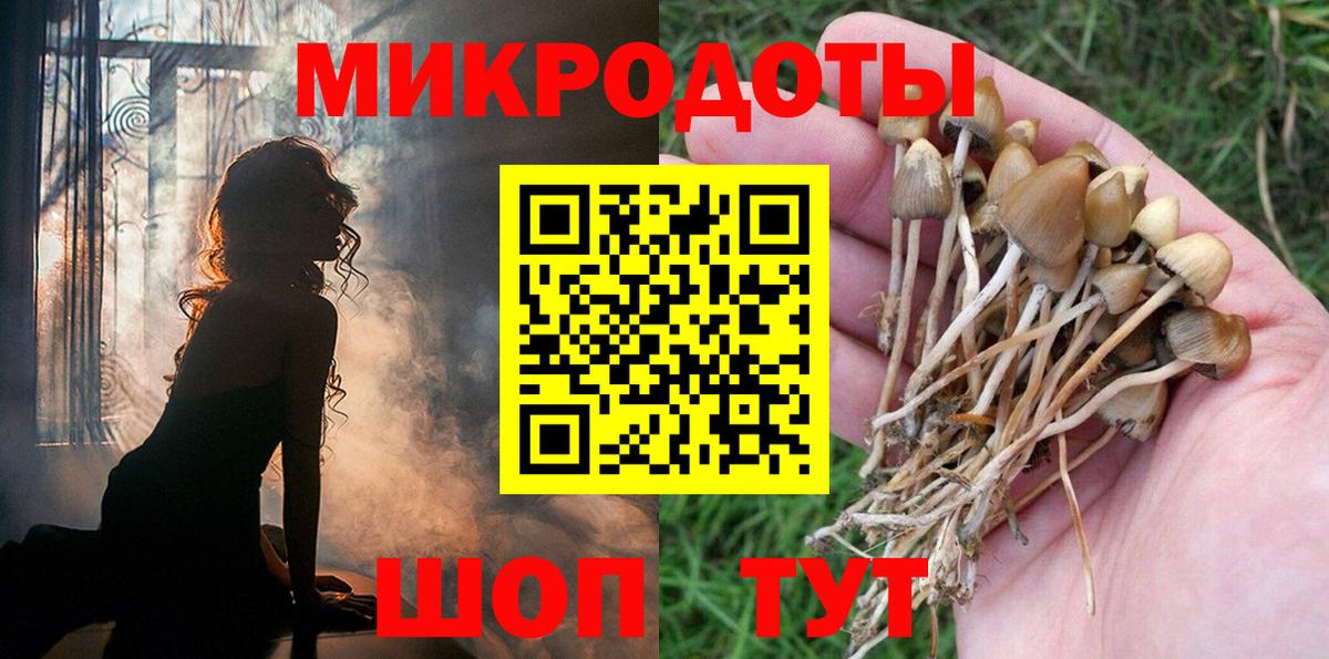 Галлюциногенные грибы мухоморы  Асбест 