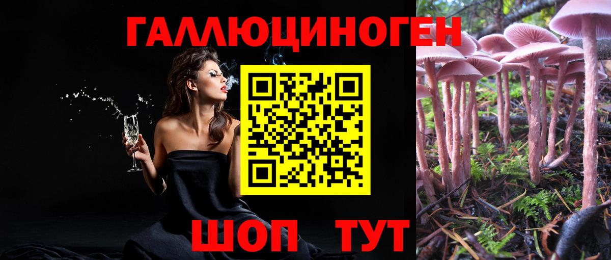 Галлюциногенные грибы мицелий Асбест