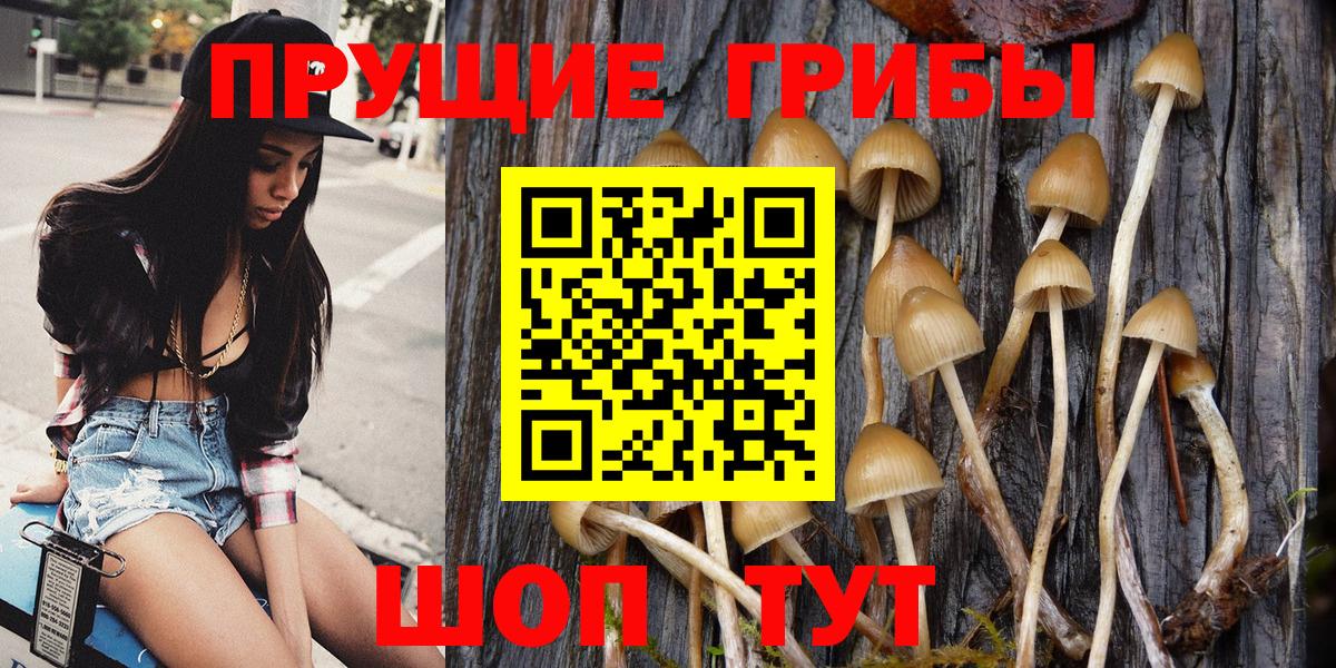 Псилоцибиновые грибы Psilocybine cubensis  Галлюциногенные грибы ЛСД  Асбест  Вход с VPN 